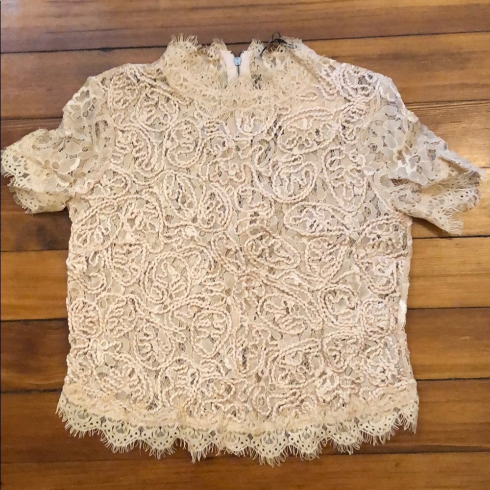 Zara trafaluc light pink laced top